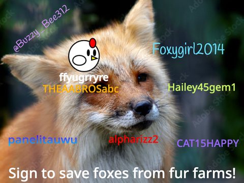 Remix and sign your name to help protect the foxes and hopefully same them from going extinct… remix