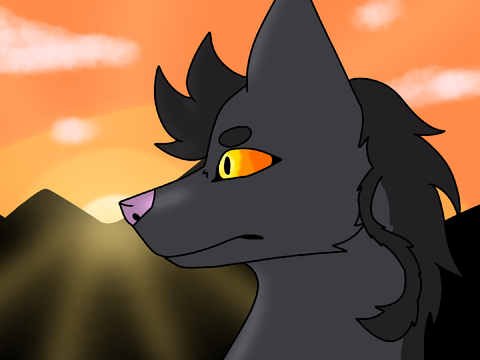 Sunset - Animation ||