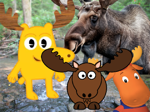 Five Nights at Moose