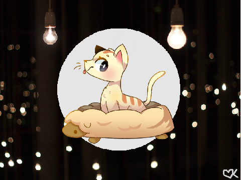 *:.Neko Atsume- Apricot.:*