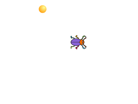 Beetle Game