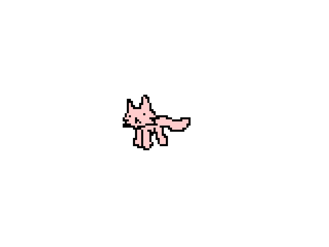 cat does a dance ish
