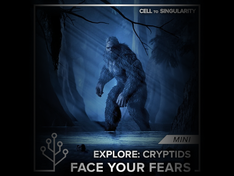 Face Your Fears