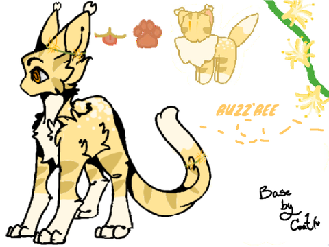 ✧~` BUZZBEE `~✧ REF