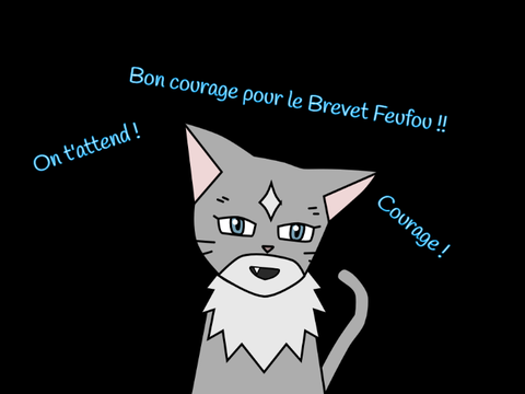 BON COURAGE !!