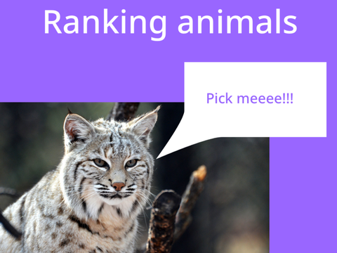 Animal ranking filter
