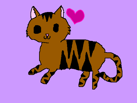 My Cat