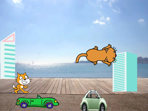 flying cat