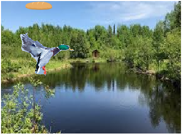 catch the bread