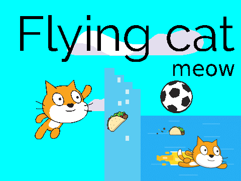 Flying cat *meow*