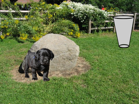 My glorious creation