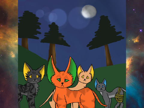 My Entry!