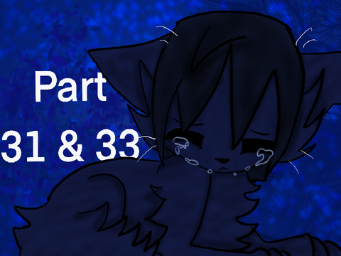 31 + 33