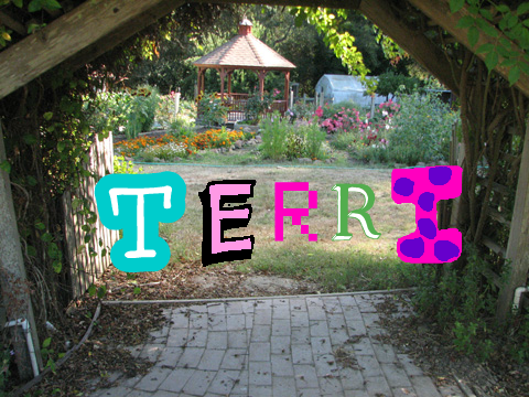 Terri's Name