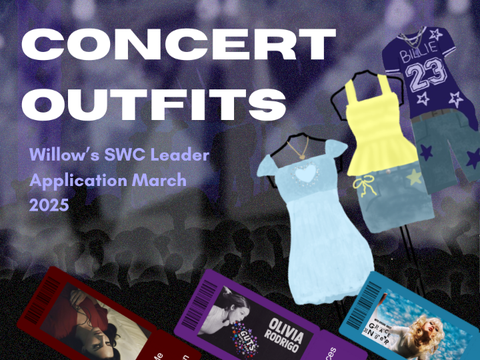 concert outfits ✮⋆˙ willow swc leader application ⋆⭒˚.⋆  march 2025