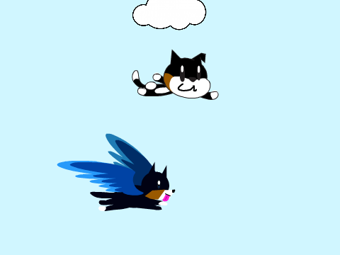 fly