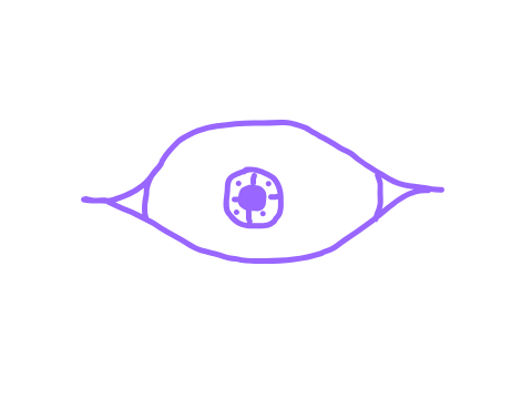 eye