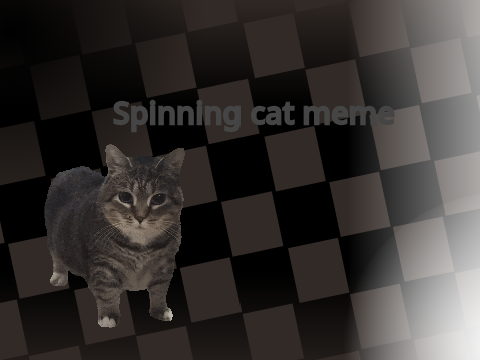 spinning cat meme
