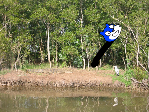 ScratchCat.io