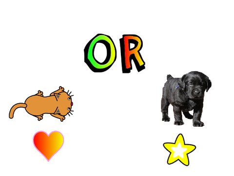 dog or  cat
