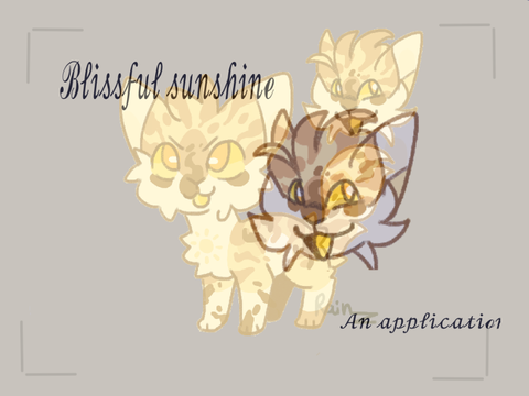 ☀︎︎♪ ❛❛ Blissful Sunshine ❜❜ ☀︎︎ ♪ an application for SunnyKit!