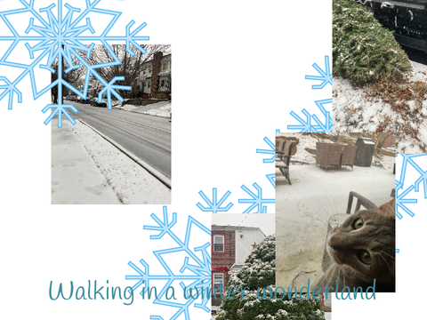Walking in a winter wonderland 