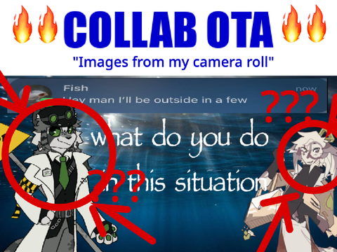 COLLAB OTA - "Images From My Camera Roll" 