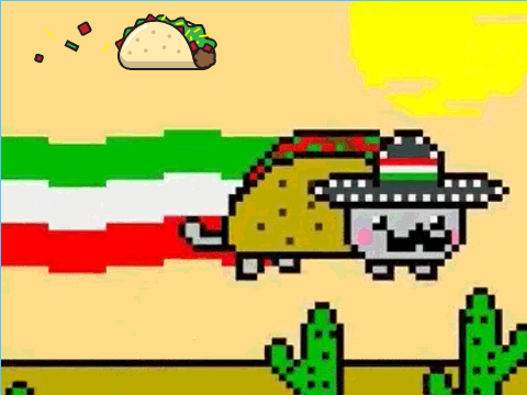 TACO LIFE! ! !
