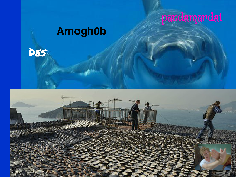 Sign if you're against shark cruelty! remix remix