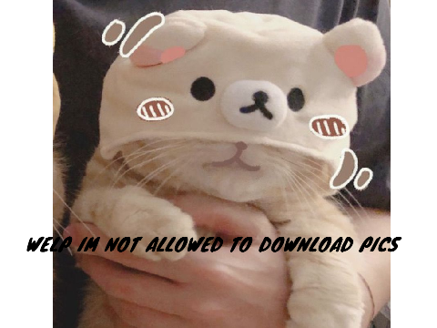 WELP IM NOT ALLOWED TO DOWNLOAD PICS