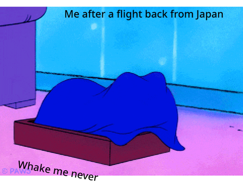 When u go on an international flight