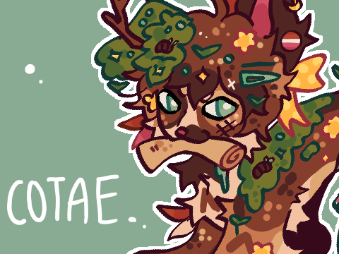 COTAE !! AMPHIBIA !!