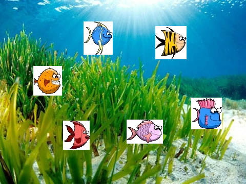 acuario de peces