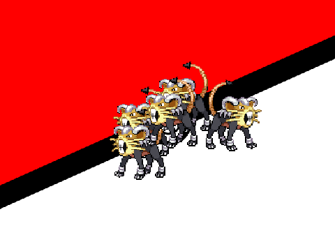 It's a Pack of Ratidooms!!!!
