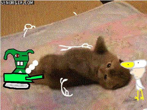 add yourself to NINJA KITTY