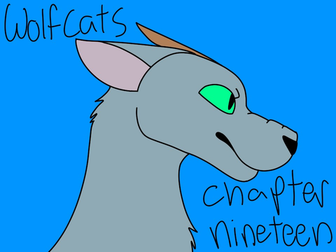 Wolfcats Chapter Nineteen