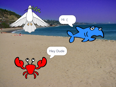 Beach Confusion (1)