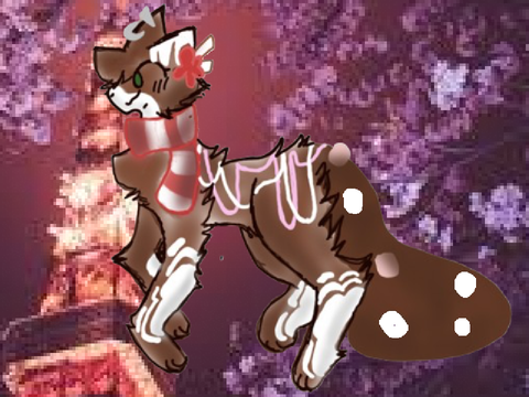 029] freefall collab cotae