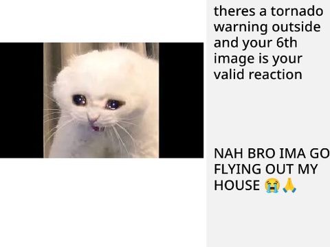JOKE XD