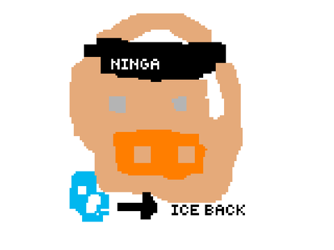 pfp for ninga_iceback