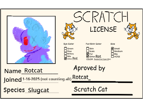 New Main's Scratch License