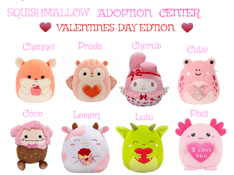 Squishmallow Adoption Center Valentine Edition! <3