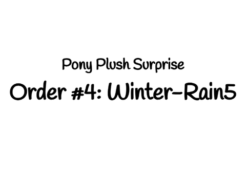 Pony Plush Order #4: Winter-Rain5