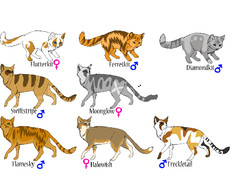 Adopt A Shadowclan Cat