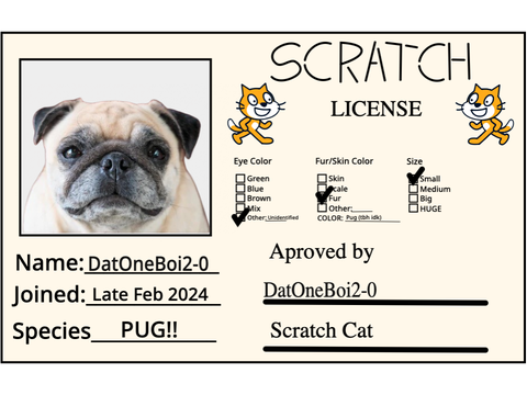 My official Scratch License