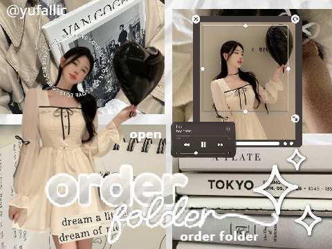 ⊹。 order folder !♡