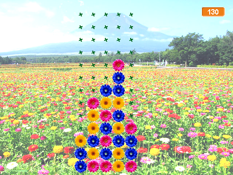 Flower Garden