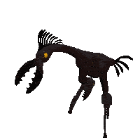 scug