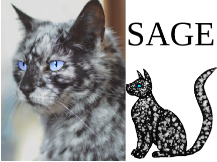 Sage- Wc oc