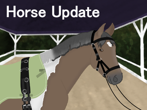 Horse Update - Snowy Day!